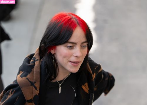 Billie Eilish - Image