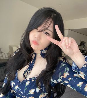 Plooful N1