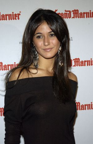 emmanuelle-chriqui-1 photo #221 photo n 221