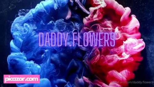 Violetttflowers  - Image