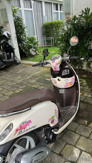 Levana Banana N46