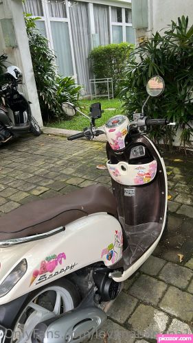 Levana Banana - Image