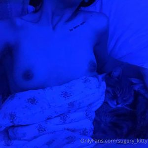 sugary-kitty-1 photo #225 photo n 225