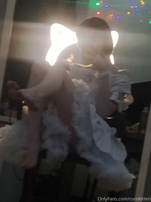 cornkitten  N19