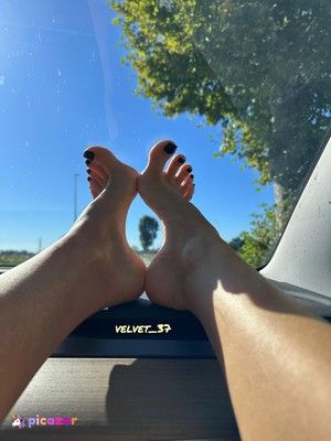 Velvet 37 - Thumb