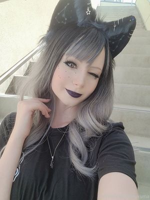Kisakuma kisa N11