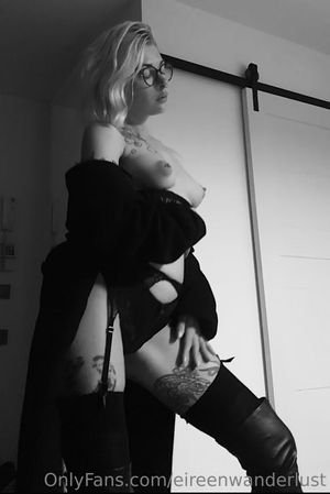panettonevirginia photo #111 photo n 111