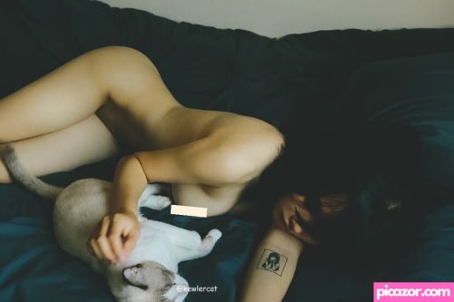 kewlercat - Image