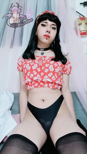 mei_succubus-1 photo #273 photo n 273