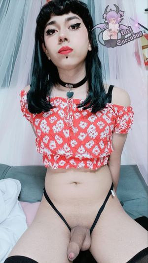 mei_succubus-1 photo #288 photo n 288