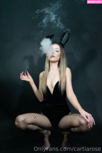 Cartia Rose - Image