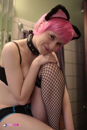 kittycafe photo #37 photo n 37
