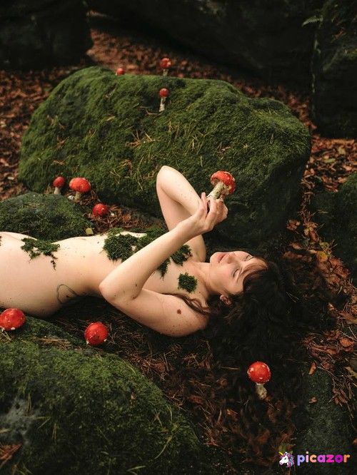 Lika  - Image