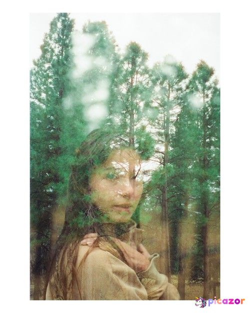 Anjelica Bette Fellini  - Image