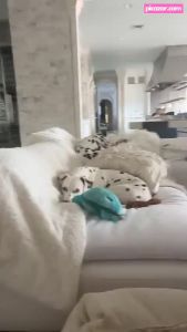 amanda-cerny video #1220 photo n 1220