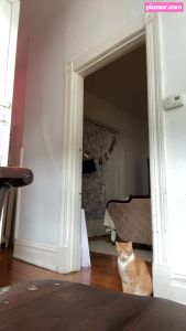 aynsleigh-escher video #24 photo n 24