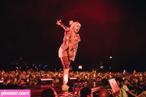 Billie Eilish - Image