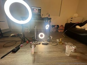 cleoblossom-2 photo #2486 photo n 2486