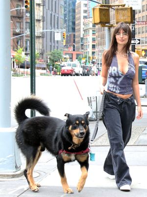 emily-ratajkowski-1 photo #2225 photo n 2225