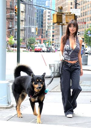emily-ratajkowski-1 photo #2235 photo n 2235