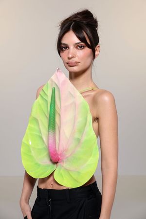 emily-ratajkowski-1 photo #1687 photo n 1687
