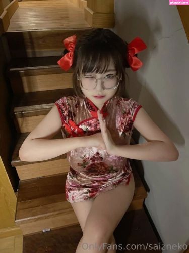 Saizneko - Image