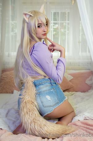shinkobi N4