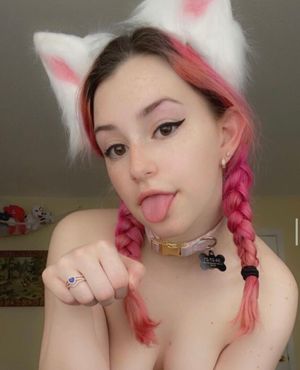 strawburrykitten-1 photo #5 photo n 5