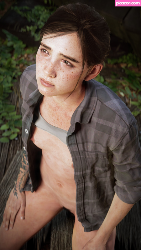 The Last Of Us N272