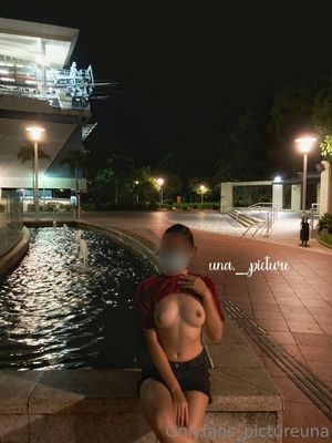 pictureuna  N3