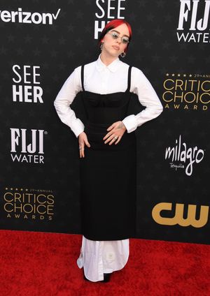billie-eilish photo #1112 photo n 1112