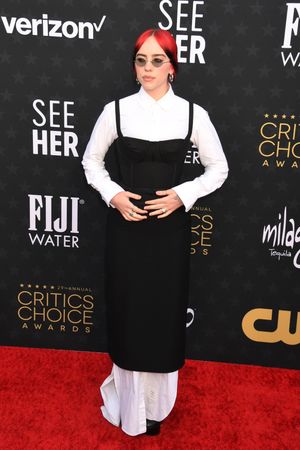 billie-eilish photo #1116 photo n 1116