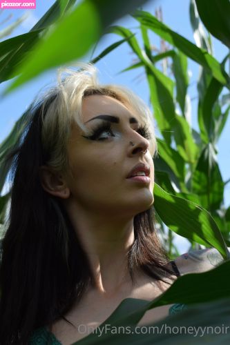 Honeyy Noir  - Image