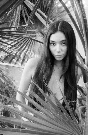 Desiree Flores N12