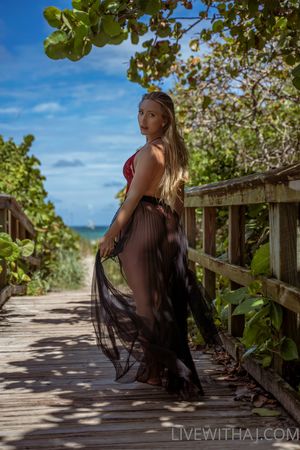 AJ Applegate  N17