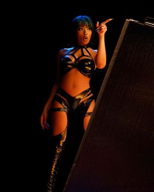 megan-thee-stallion-1 photo #321 photo n 321