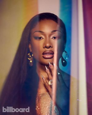 Megan Thee Stallion N29