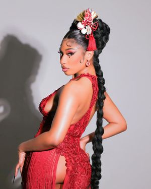 megan-thee-stallion-1 photo #264 photo n 264