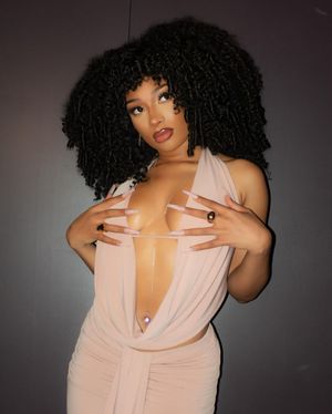 megan-thee-stallion-1 photo #348 photo n 348
