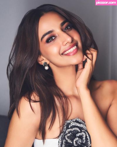 Meenakshi Chaudhary - Image