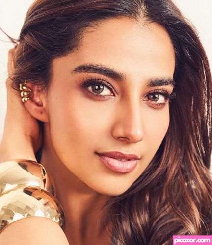 Meenakshi Chaudhary - Image