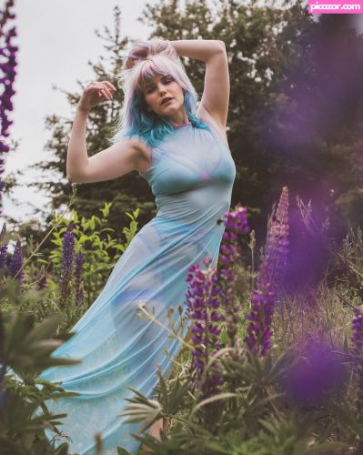 Bluejay - Image