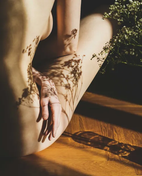 Annart007 - Image