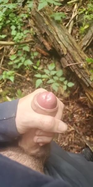 userposts/69e92272d0ed4dd27b76a7ca video #5 photo n 5