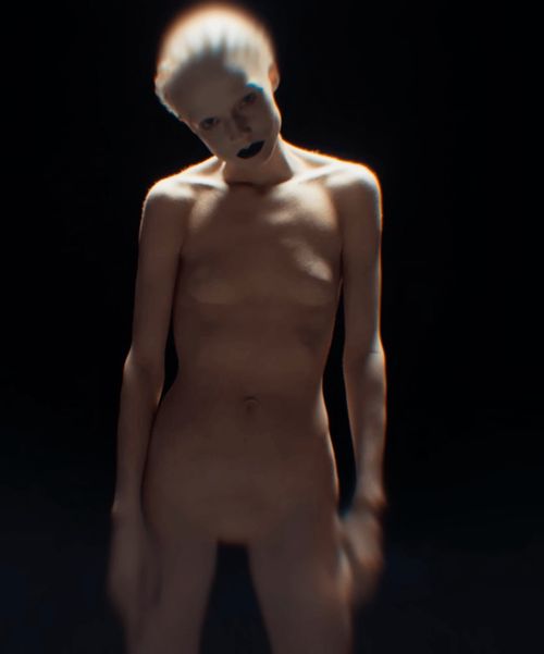 Poppy - Image