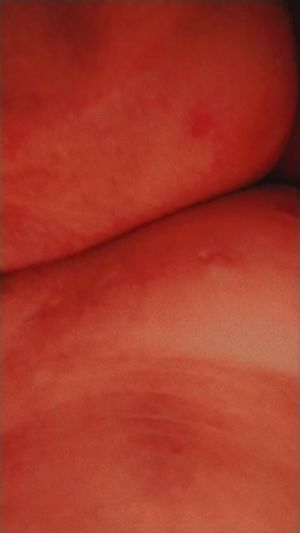 Letycia - Thumb