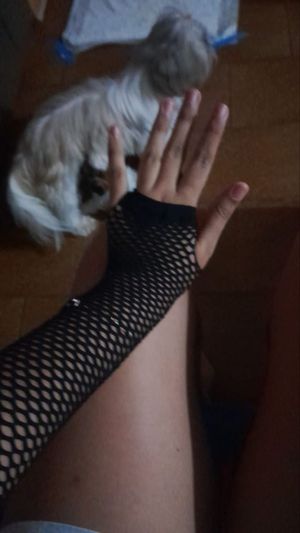Tucana4 Hotwife - Thumb
